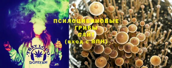 наркотики Карпинск