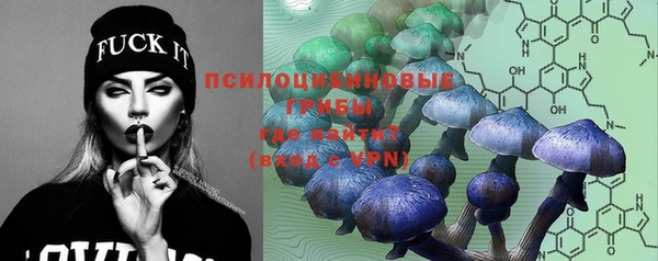 Альфа ПВП Карталы