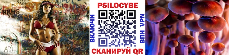 Купить где  Берёзовка  Псилоцибиновые грибы MAGIC MUSHROOMS 
